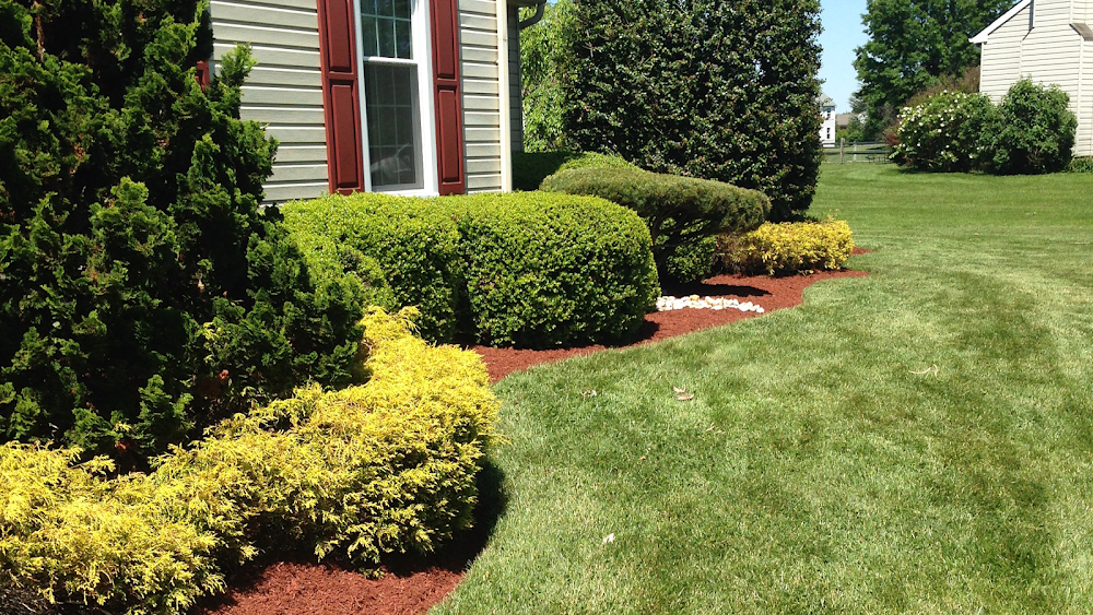 Joan Landscaping LLC