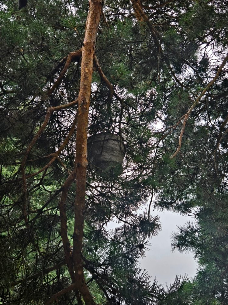 Joe Air Duct & Dryer Vent Cleaning And Pest Control service Of DE