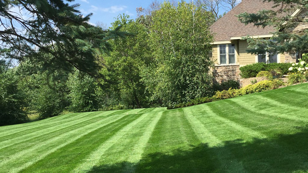 JT Lawn Care
