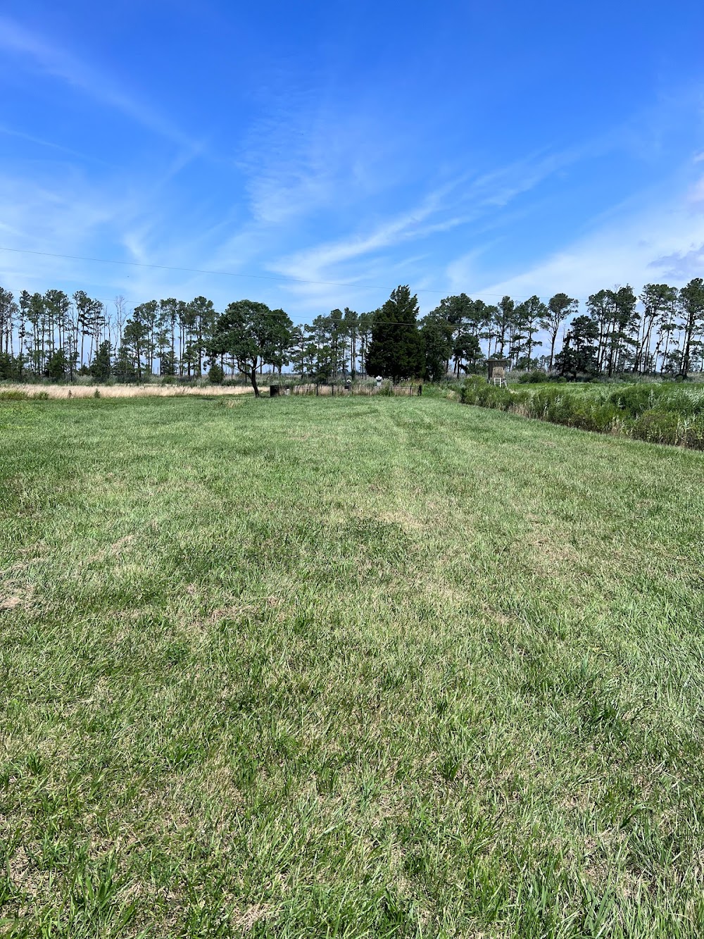 K.N.C. Lawn Care