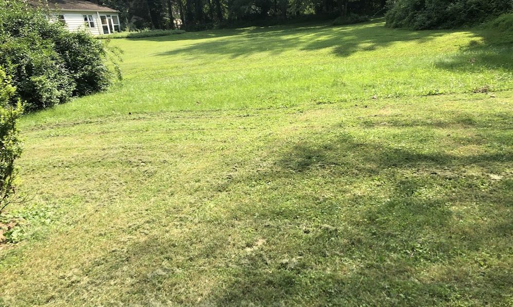 LawnStarter Lawn Care Service