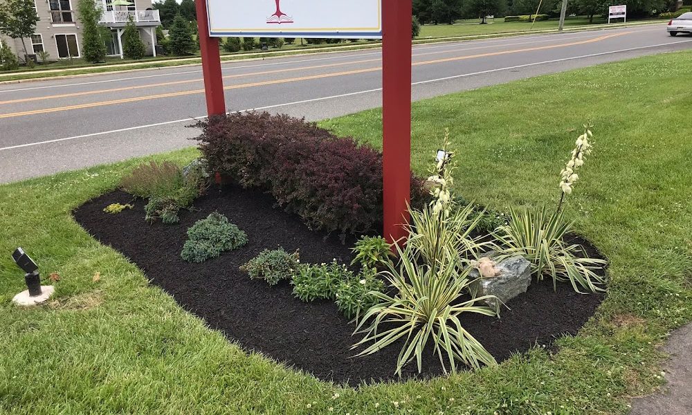 Lester’s Lawn Care