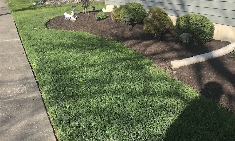 Maldonado Landscaping