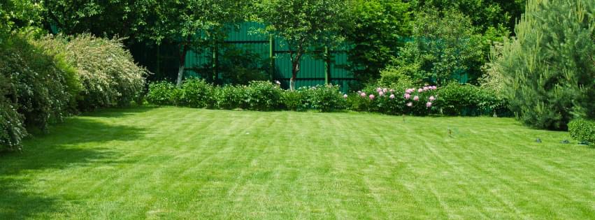 Martin Foster’s Lawn Care