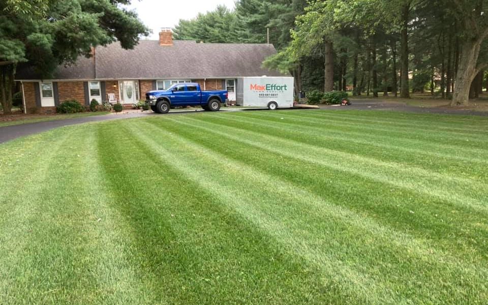 Max Effort Lawn Service