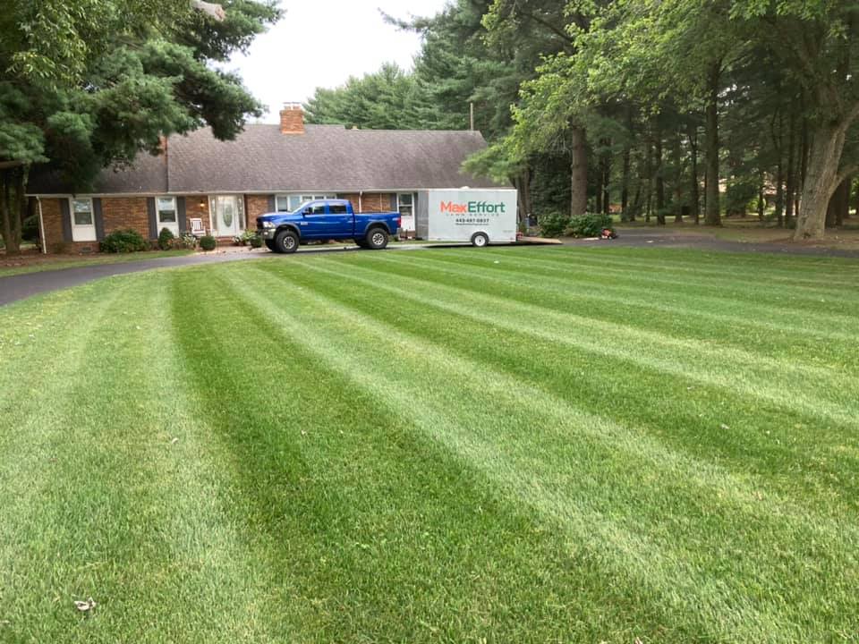 Max Effort Lawn Service