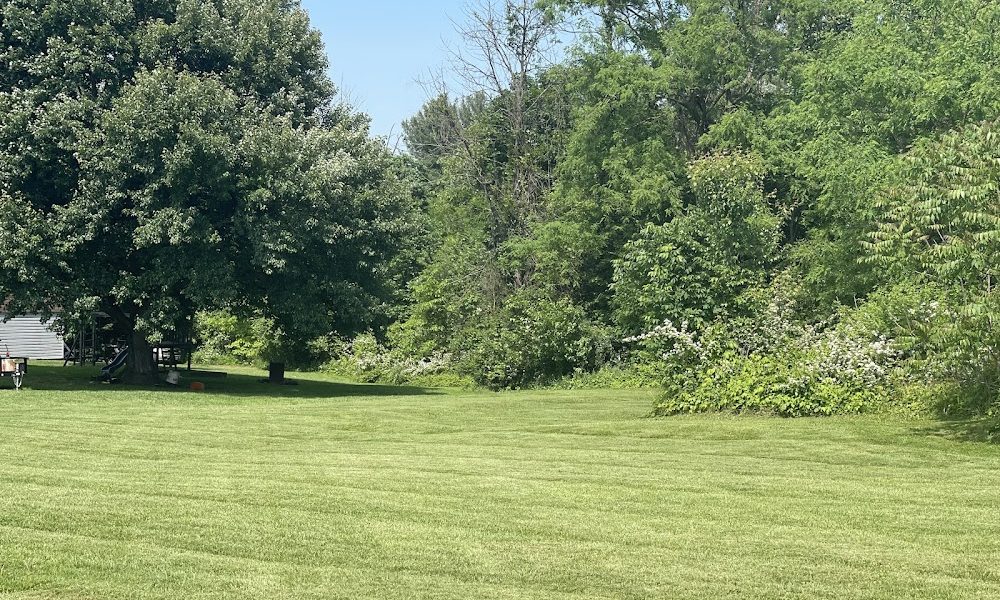 Mill Creek Lawn Care Services