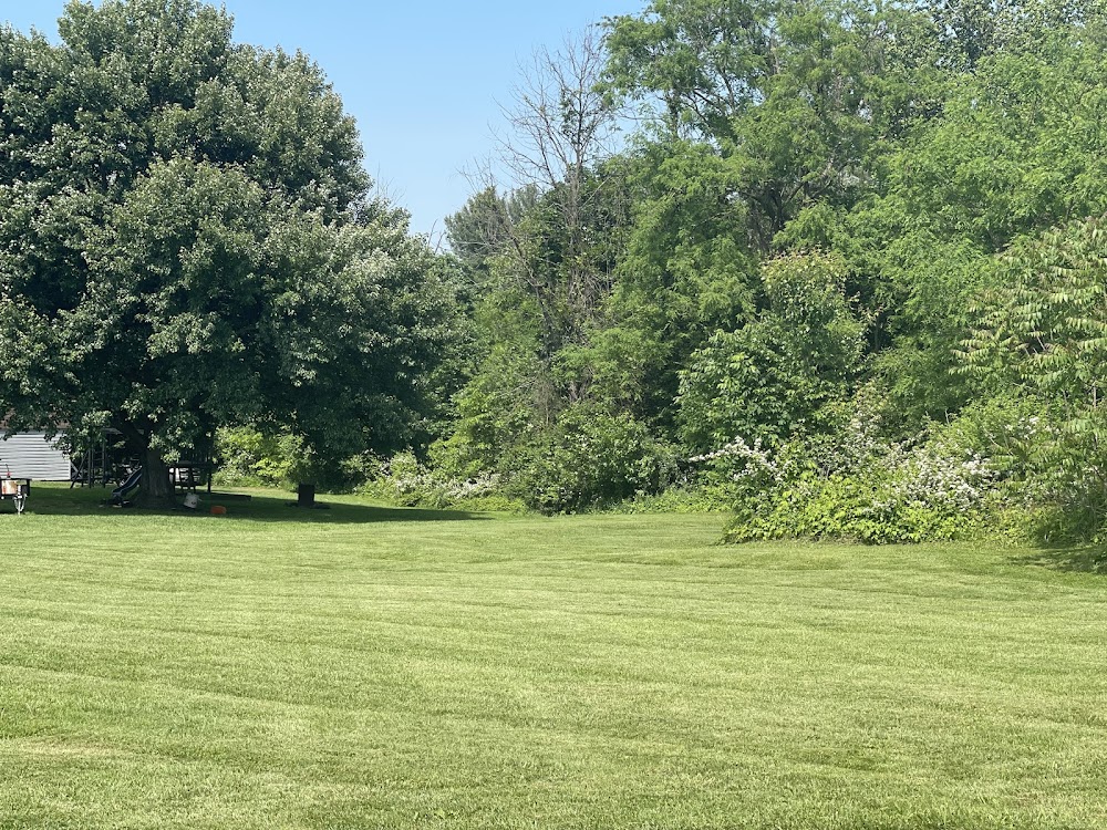 Mill Creek Lawn Care Services