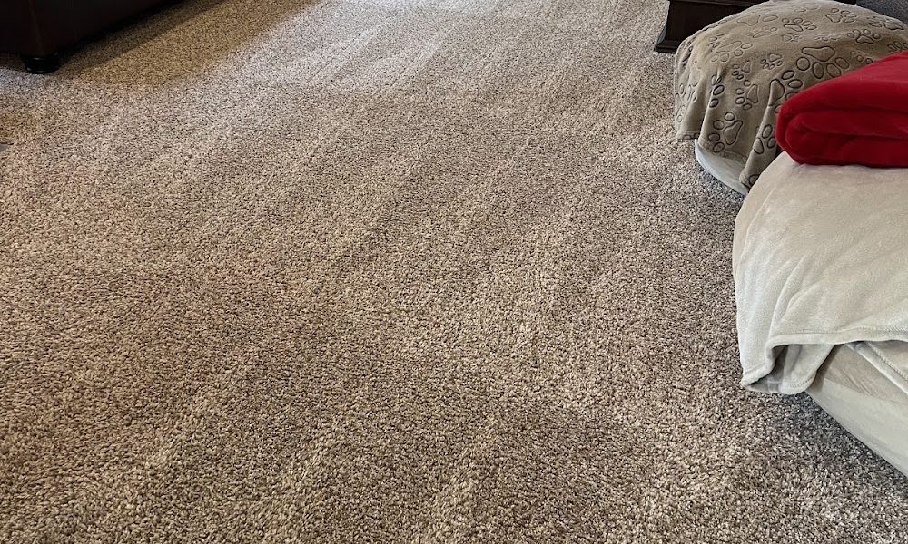 Miss Spotless Cleaning