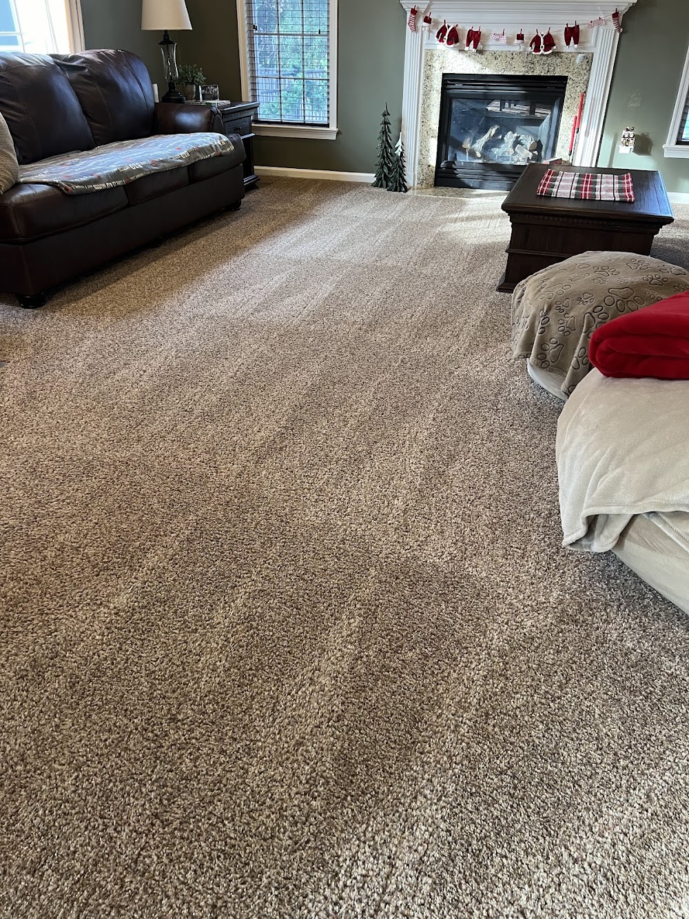 Miss Spotless Cleaning