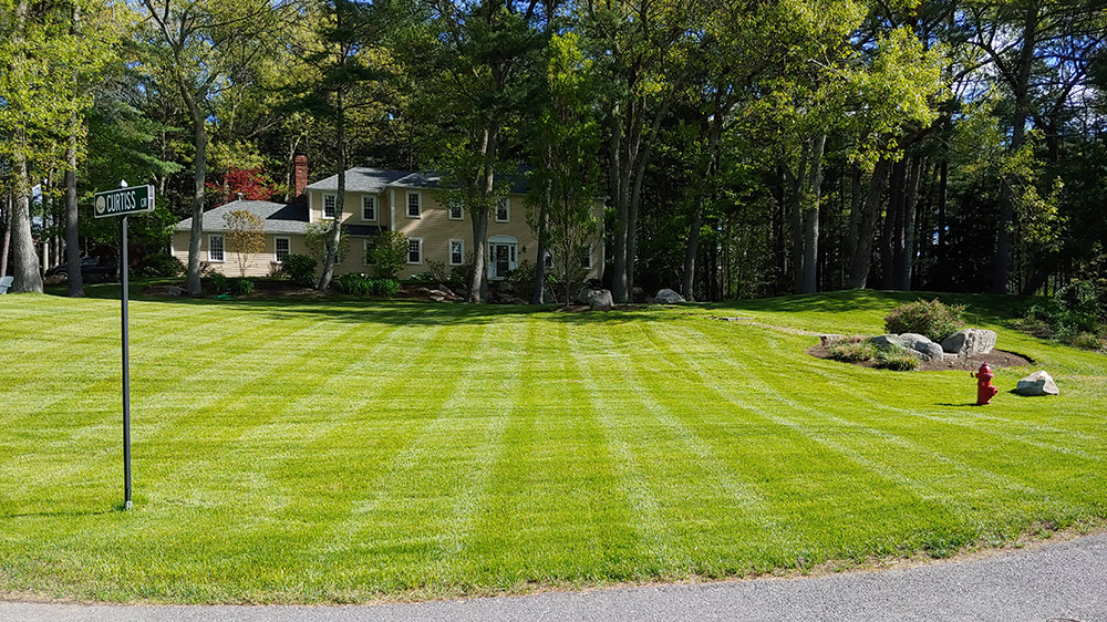 M&M Lawn Care
