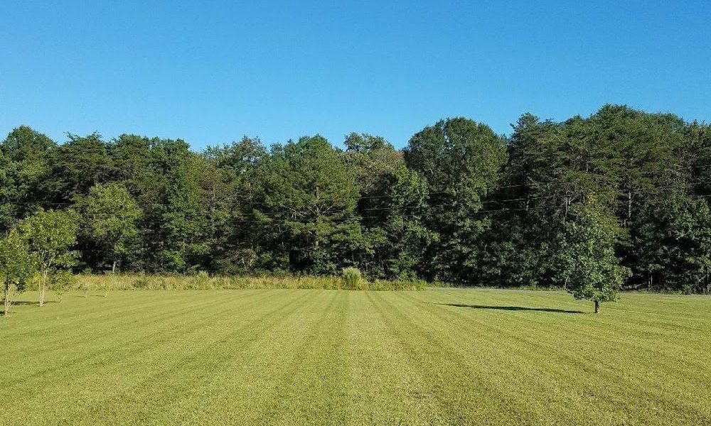 Morris Lawn and Landscape LLC