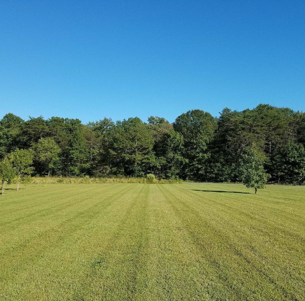 Morris Lawn and Landscape LLC