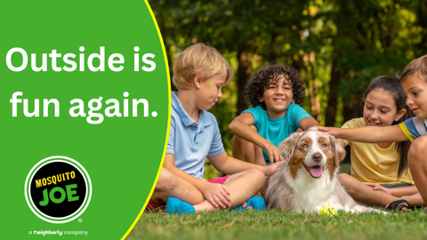 Mosquito Joe of Northern Delaware