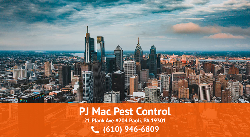 PJ Mac Pest Control