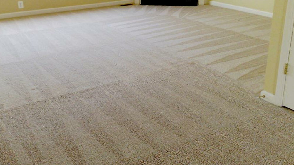 Premier Elite Carpet Cleaning & Floor Care
