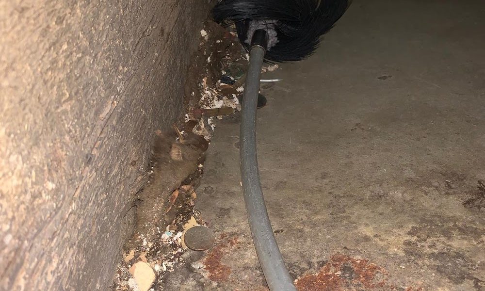 pro air duct cleaners