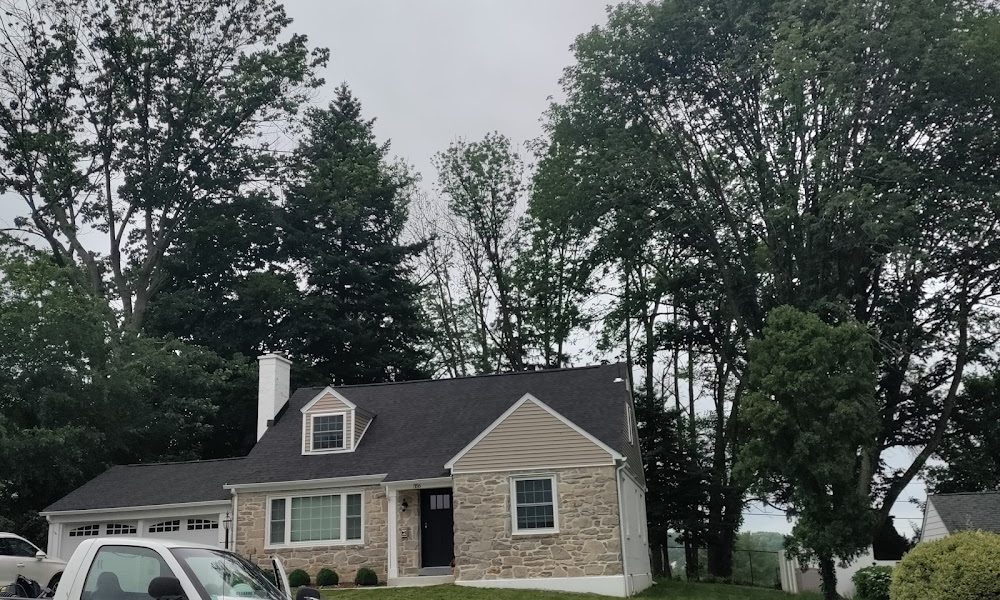 Rodgers lawn care and cleaning services