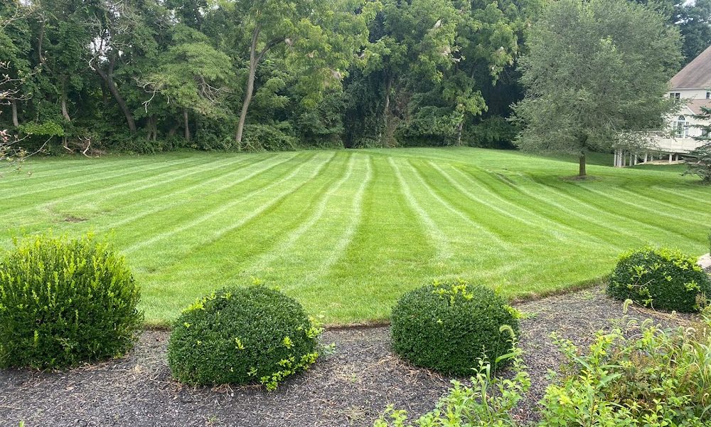 Romero Landscaping