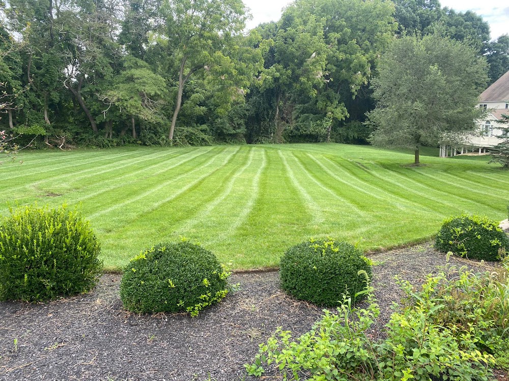 Romero Landscaping