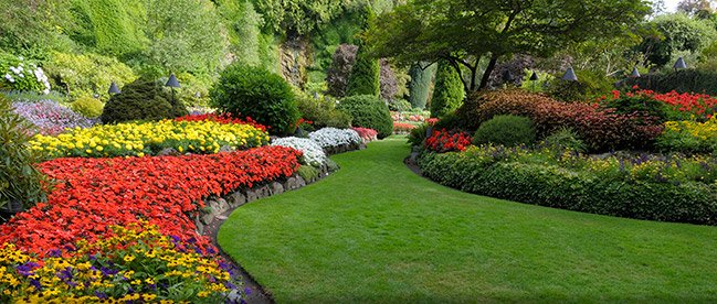 S&C Landscaping
