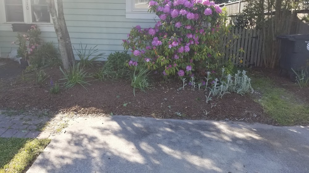 Shoreline Lawn Care