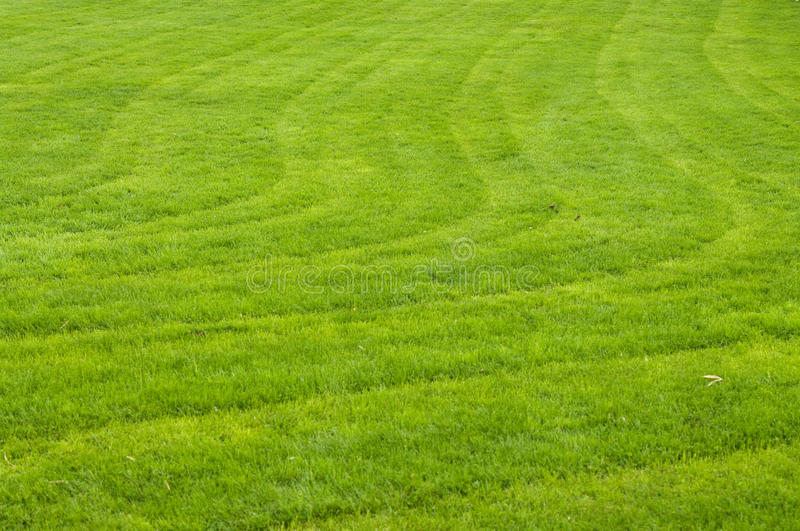 ShoreShot LawnCare LLC