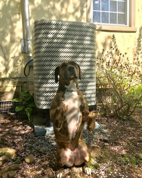 Solution Based Plumbing, Heating & Air Conditioning