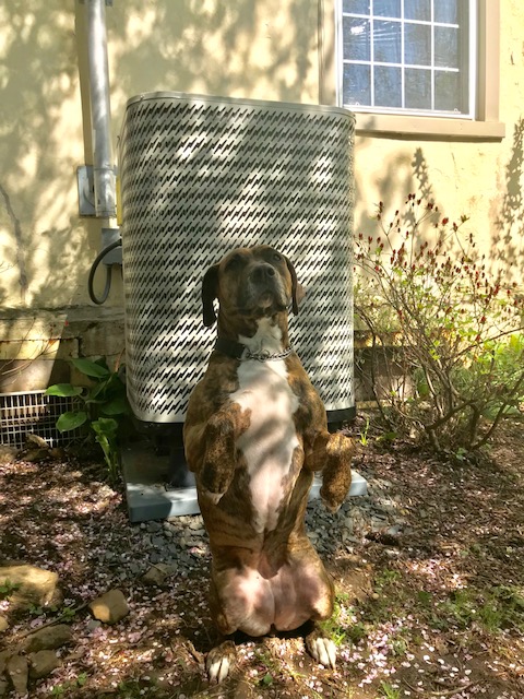 Solution Based Plumbing, Heating & Air Conditioning