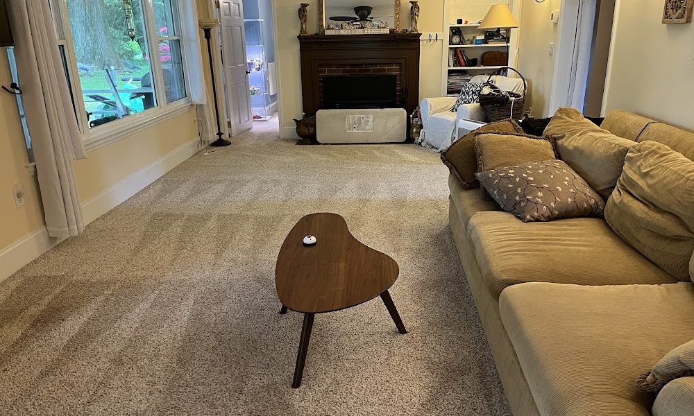 The Cleaning Authority – Newark