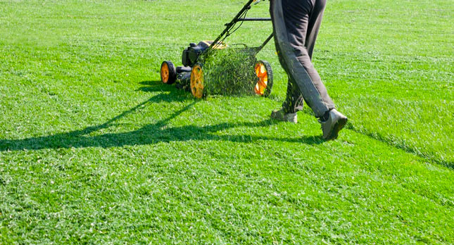 Tru-Green Lawn Care Philadelphia