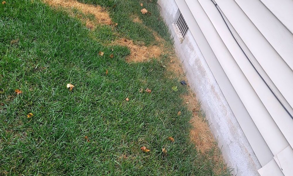 TruGreen Lawn Care