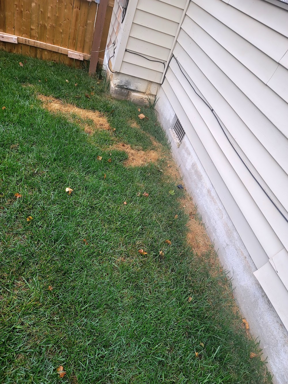 TruGreen Lawn Care