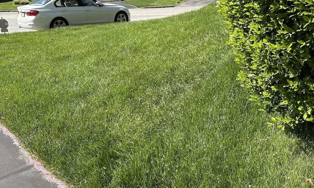 TruGreen Lawn Care