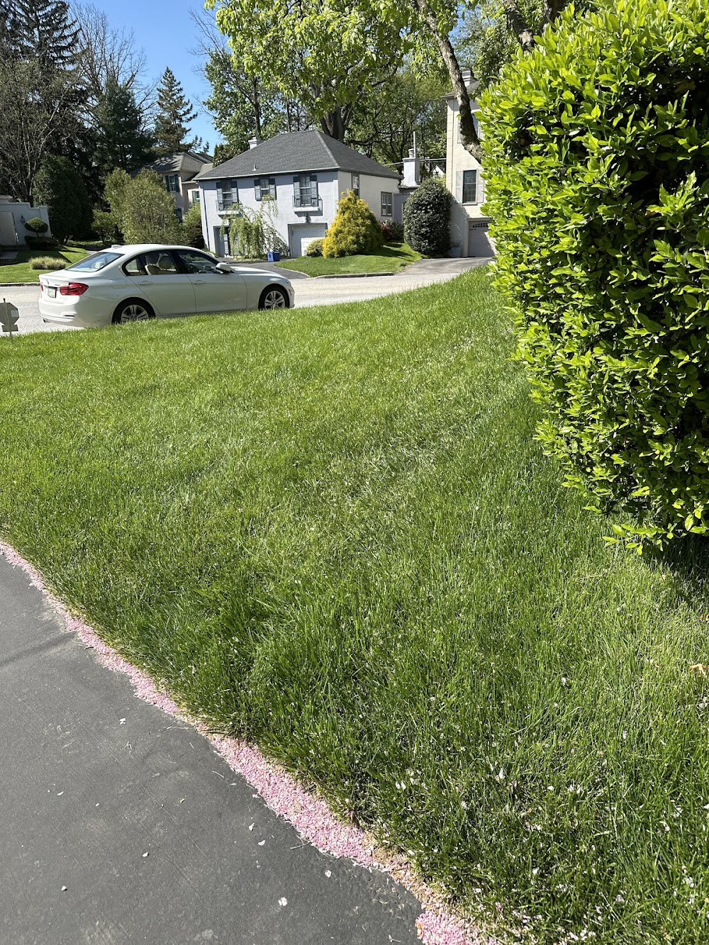 TruGreen Lawn Care
