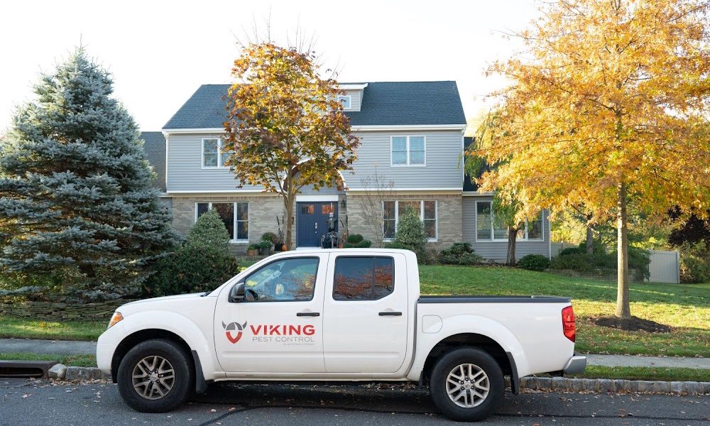 Viking Pest Control