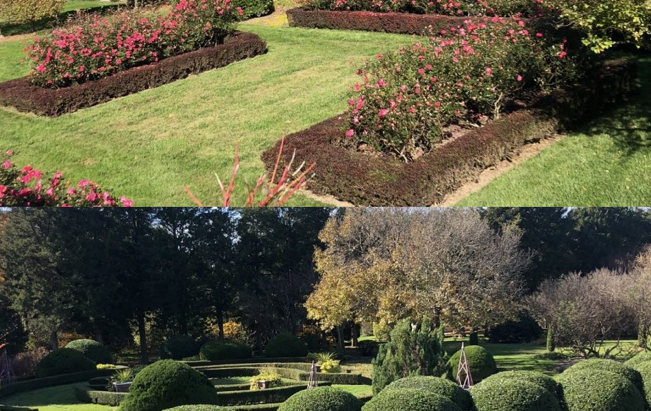 Wil & Son Landscaping LLC