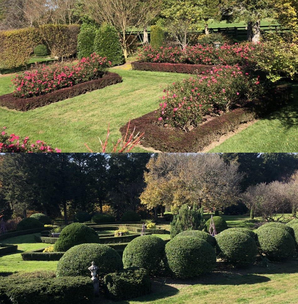 Wil & Son Landscaping LLC