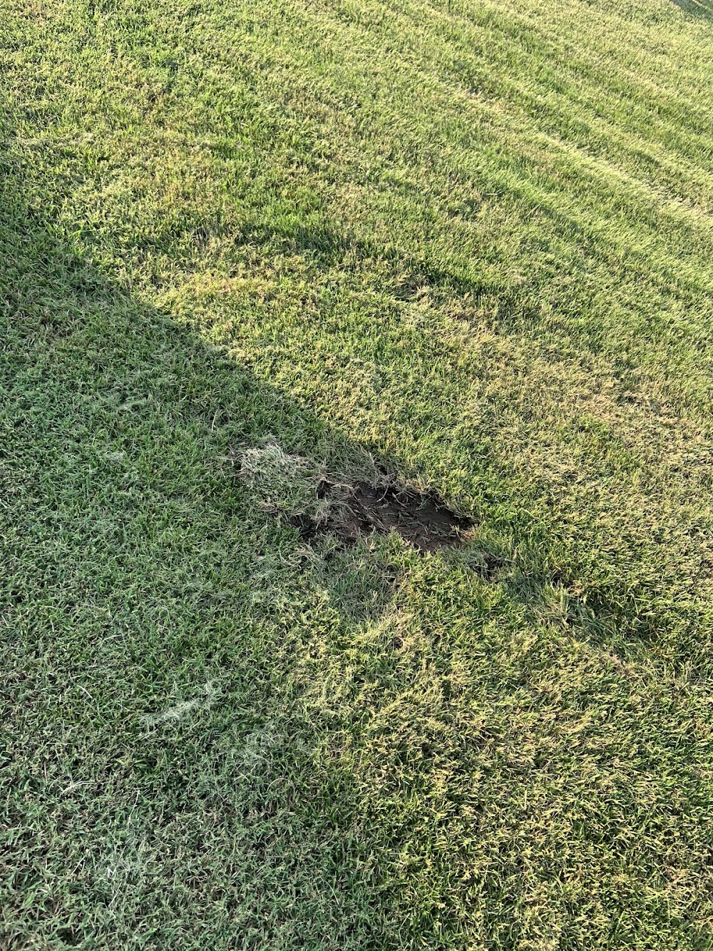 Wilcox Landscaping