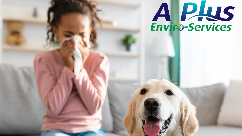 A Plus Enviro-Services Inc.