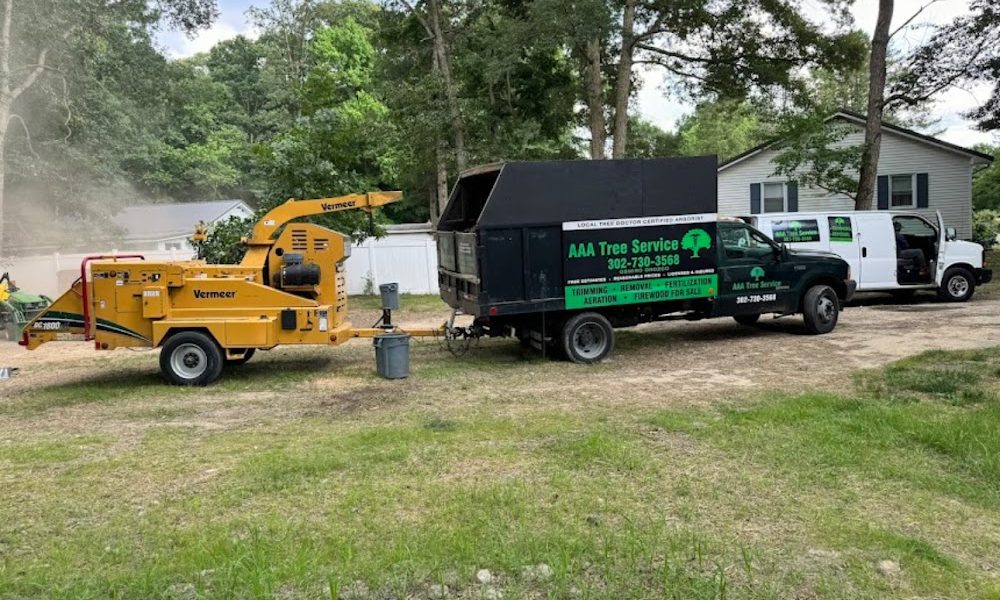 AAA Tree Service and Landscaping