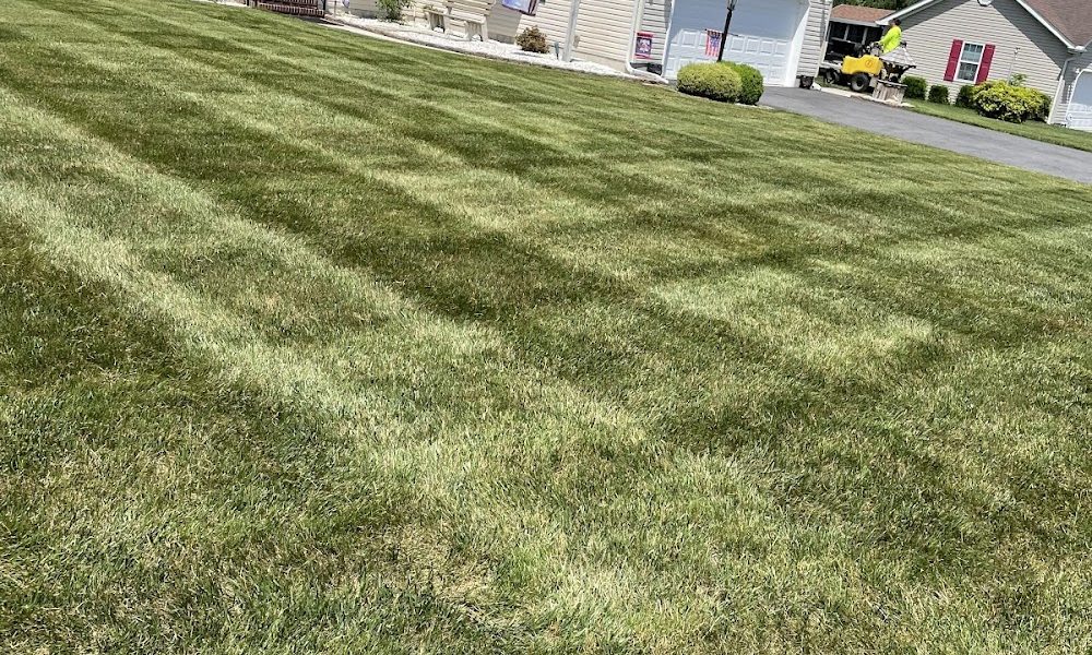 Ace Of Blades Lawn Care