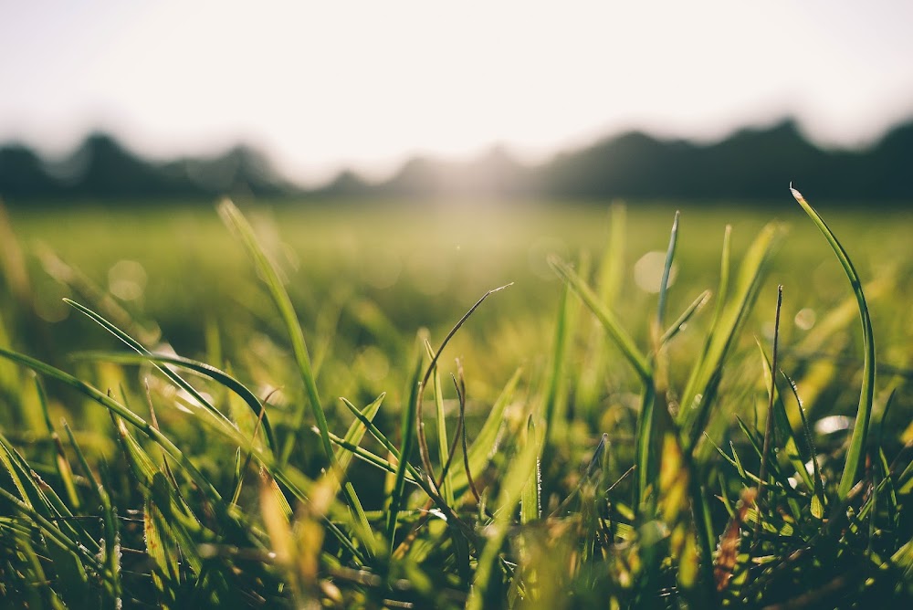 Affordable Lawn Care Solutions, LLC