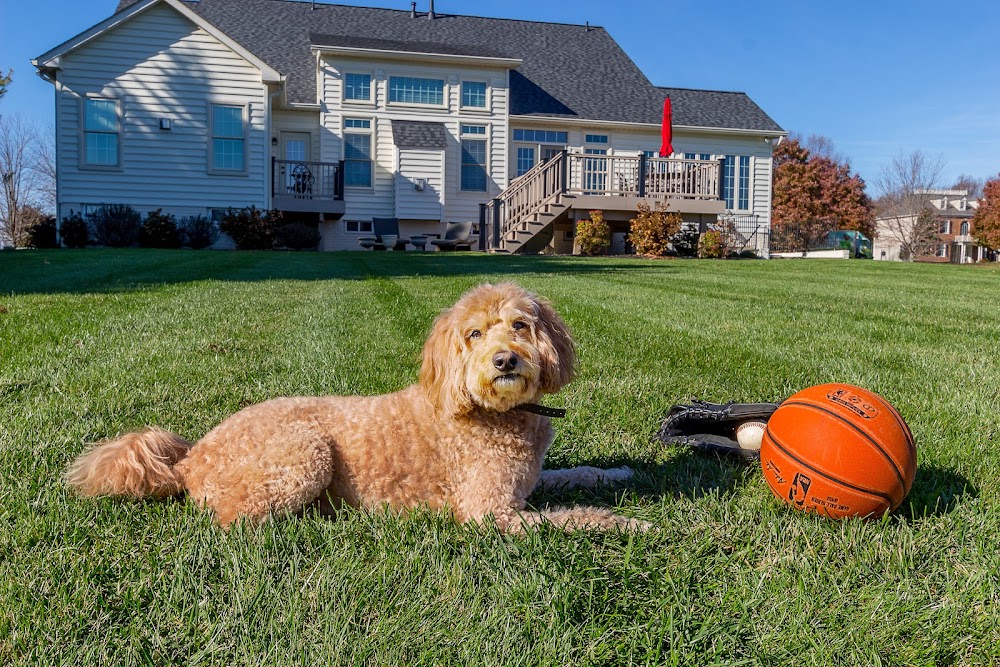 AgroLawn, Inc