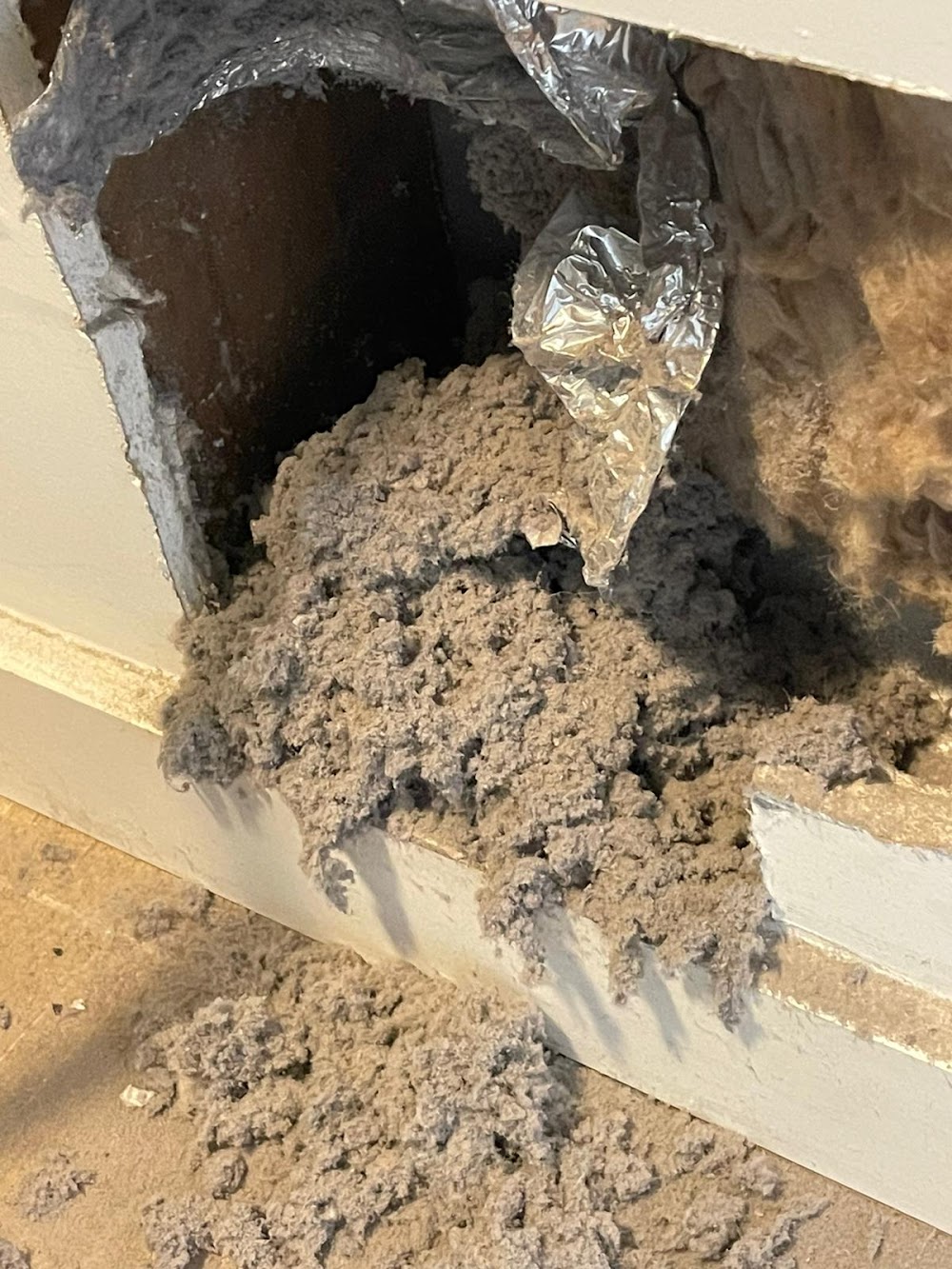 Air Dryer Cleaning & Dryer Vent Cleaning Arlington