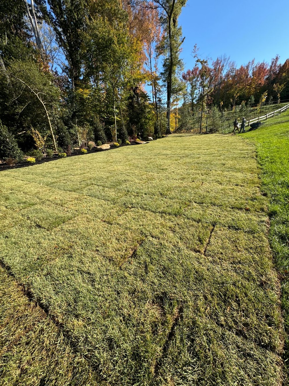 All Star Lawn & Tree Removal
