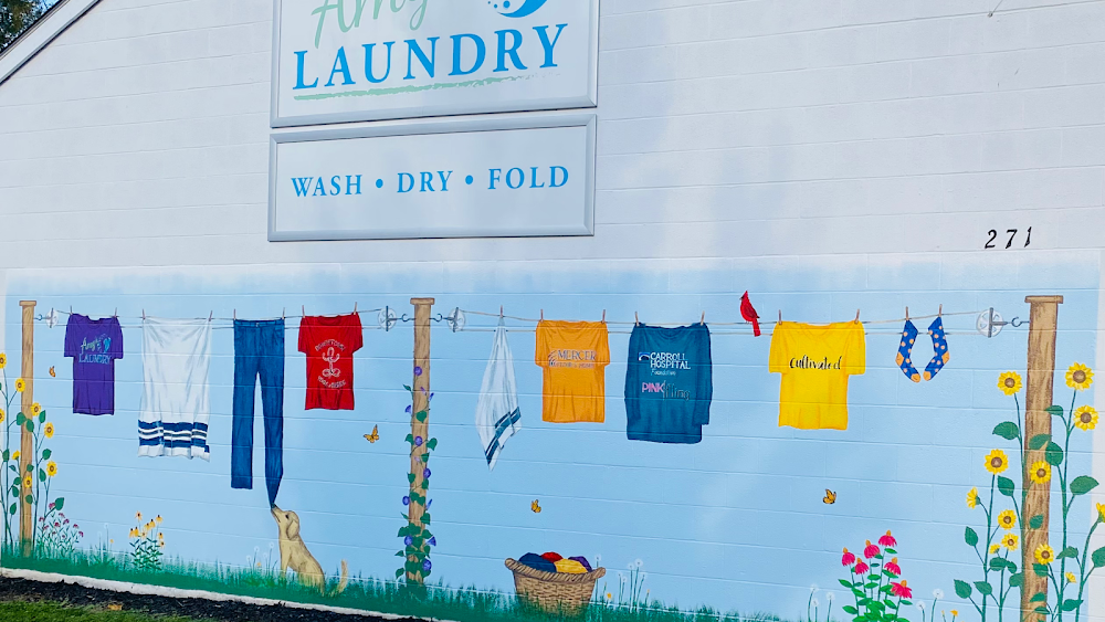 Amy’s Laundry