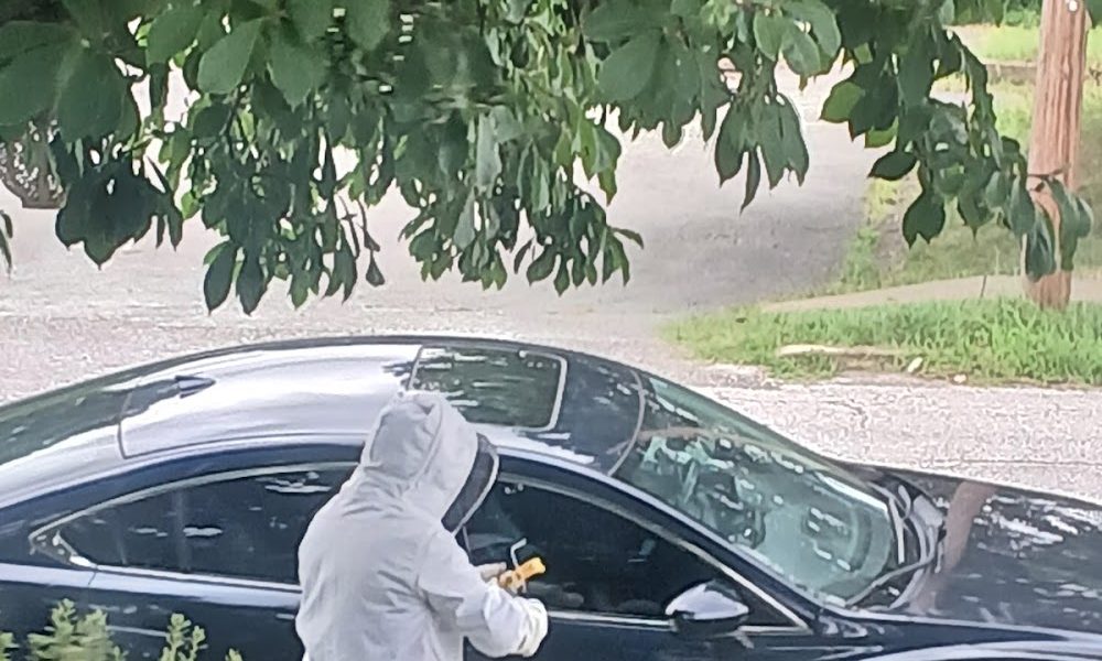 Arterix Pest Control, LLC