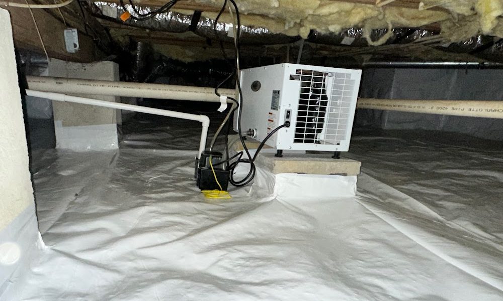 Asbury Pest & Wildlife