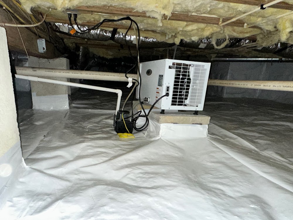 Asbury Pest & Wildlife